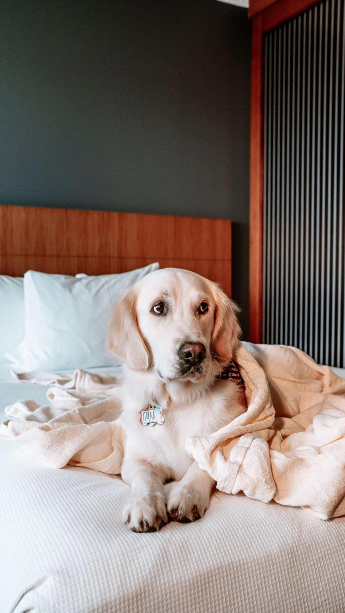 Hyatt Place Манати Экстерьер фото